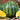 Watermelon - Yellow Gem Sweet (Organic)