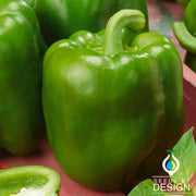 Emerald Giant Pepper Seeds
