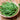 Bean - Harvester
