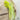 Celery - Giant Pascal