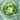 Collard - Vates
