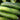 Cucumber - Beit Alpha