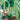 Gourd - Big Green Sausage
