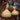 Gourd - Bush Large Bottle