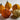 Gourd - Small Warted Mix
