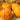 Gourd - Verracousa Warted