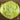Lettuce, Crisphead - Great Lakes 659