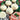 Onion, Bunching - Southport White Globe