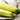 Squash, Summer - Lebanese White Bush