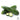 Squash, Summer - Storr's Green F1