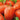 Tomato - Cal J