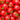 Tomato - Calypso