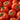Tomato - Campbell 33