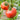 Tomato - Ponderosa Red