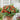 Tomato - Sweet Tiny F1