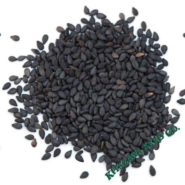 Sesame Seeds, Black, Kurogoma | Specialty Asian Heirloom Seeds