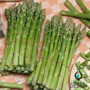 Asparagus Seeds - UC 157 F2