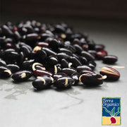 Non-GMO Organic Black Turtle Beans