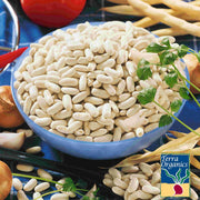 Organic Cannellini Beans Seeds