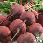 Green Top Bunching Beets Seeds