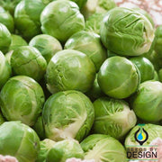 Catskill Brussels Sprouts Seeds