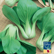 Organic Baby Pak Choi Seeds