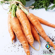 amsterdam carrot