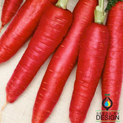 Carrot Red Vegetable Seed