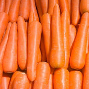 brilliance carrot