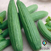 metki dark green armenian cucumber