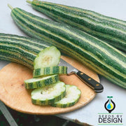 Cucumber Seeds - Armenian Striped