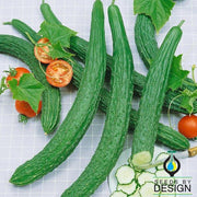 Suyo Long Cucumber Vegetable Garden Seeds