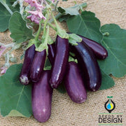 Little Finger Purple Eggplant Seeds