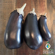 Florida Market Eggplant