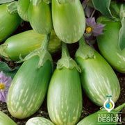 Eggplant Seeds - Masego