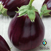 Eggplant Seeds - Prosperosa F1