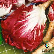 Radicchio Rouge de Verona Seed