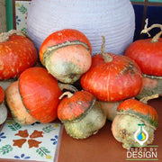 Gourds Turks Turban Vegetable Seed