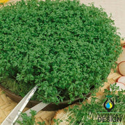 Cress - Curled Herb and Microgreen seed
