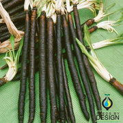scorzonera black root salsify seeds