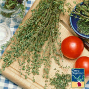 Thyme - Organic herb Seed