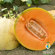 Melon Seeds - Extravagant F1