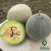 Melon Seeds - Green Nutmeg