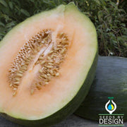 Melon Seeds - Marvelous F1