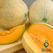 Melon Cantaloupe Planters Jumbo Seed