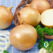 yellow granex prr f1 hybrid onion