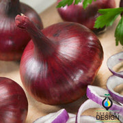 Onion - Southport Red Globe Garden Seed