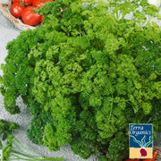 Organic Forest Green Parsley Herb Seeds