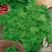 Parsley - Triple Moss Curled Herb Seed