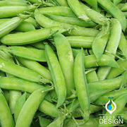 Pea Seeds - Wando Vegetable Gardening